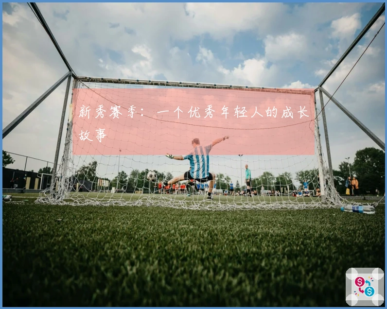 新秀赛季：一个优秀年轻人的成长故事